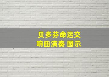 贝多芬命运交响曲演奏 图示